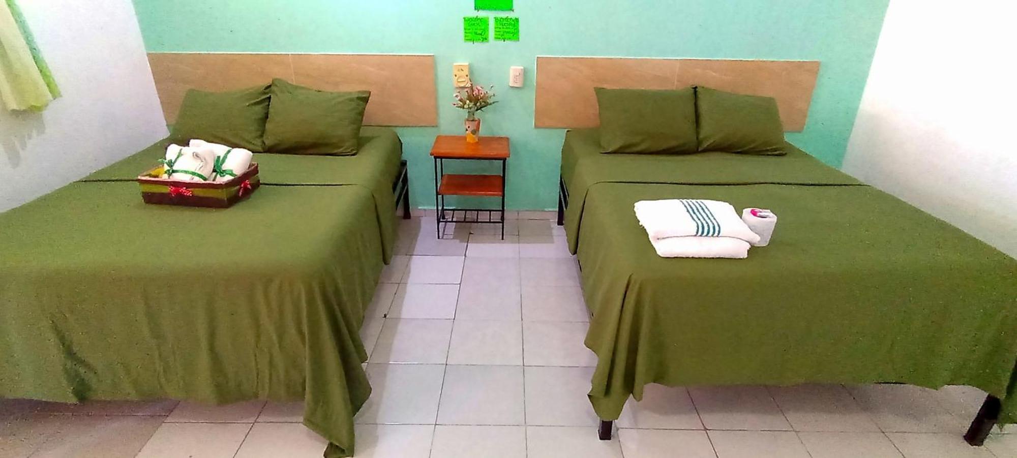 Posada Nacha`n - Ka`an Palenque Bagian luar foto