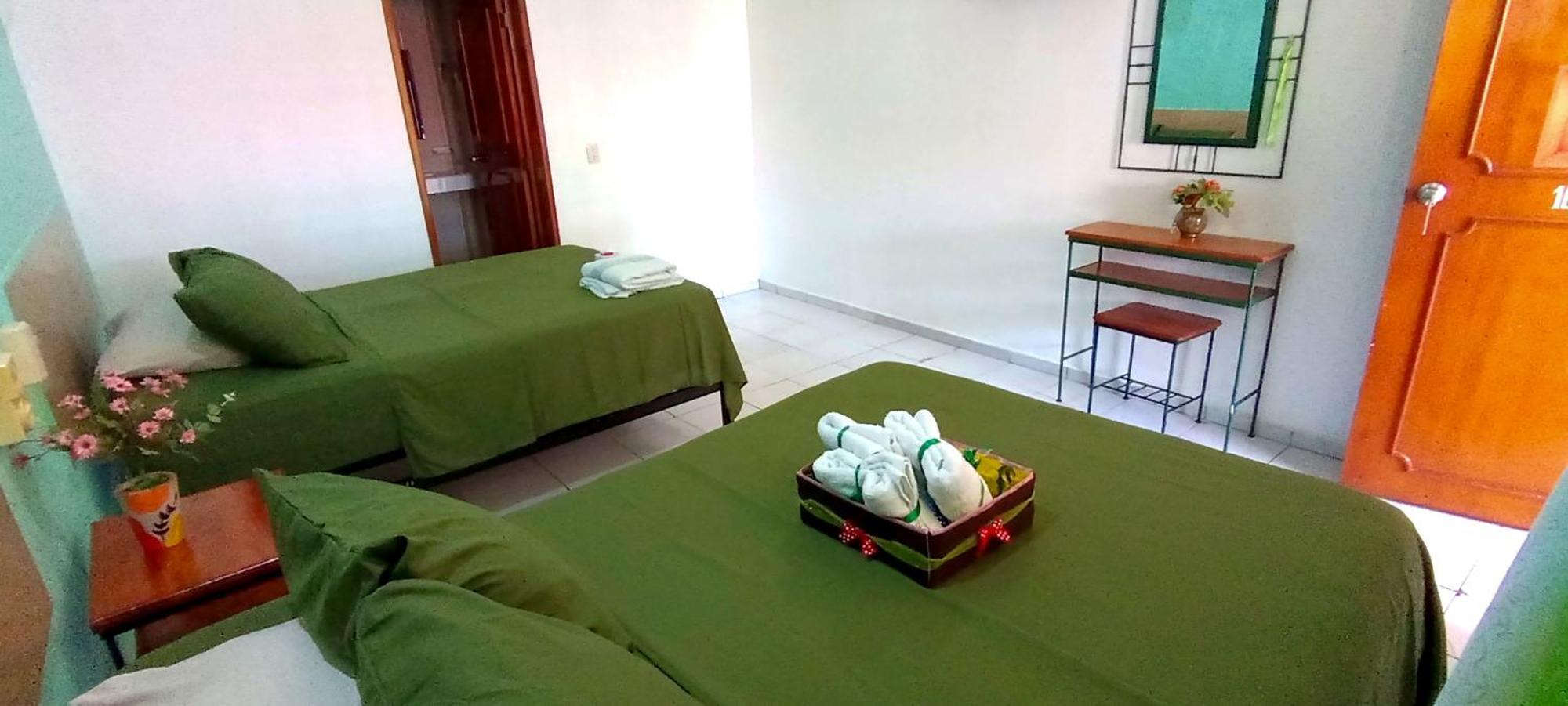 Posada Nacha`n - Ka`an Palenque Bagian luar foto